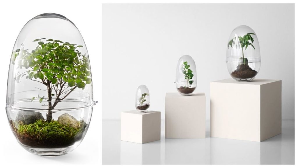 bröllopspresenterna 2024: Grow Glass XL växthus från Caroline Wetterling
