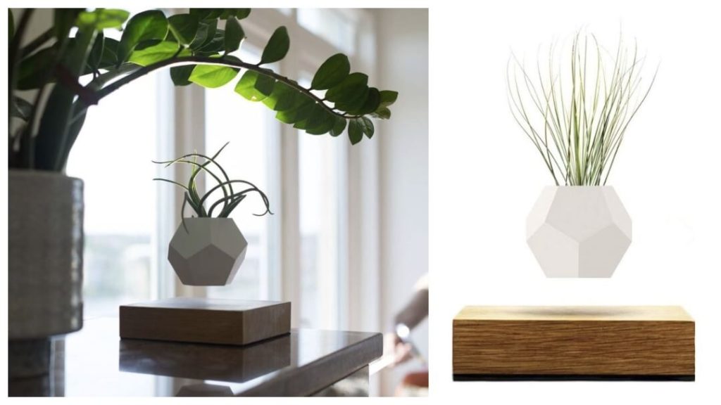 Presenttips till honom: Flyte, Lyfe Planter