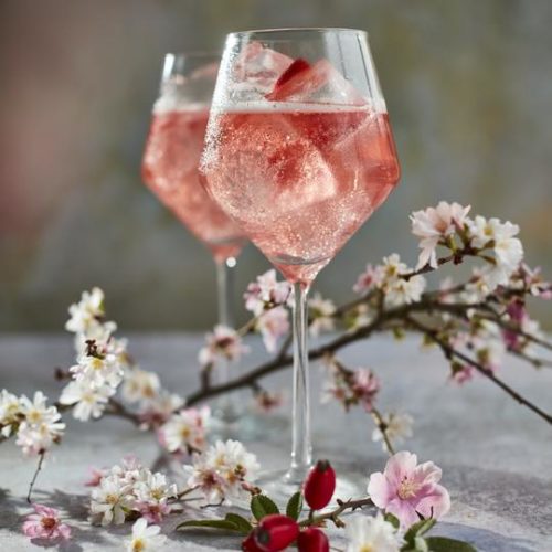 Everleaf - Mountain 500Ml