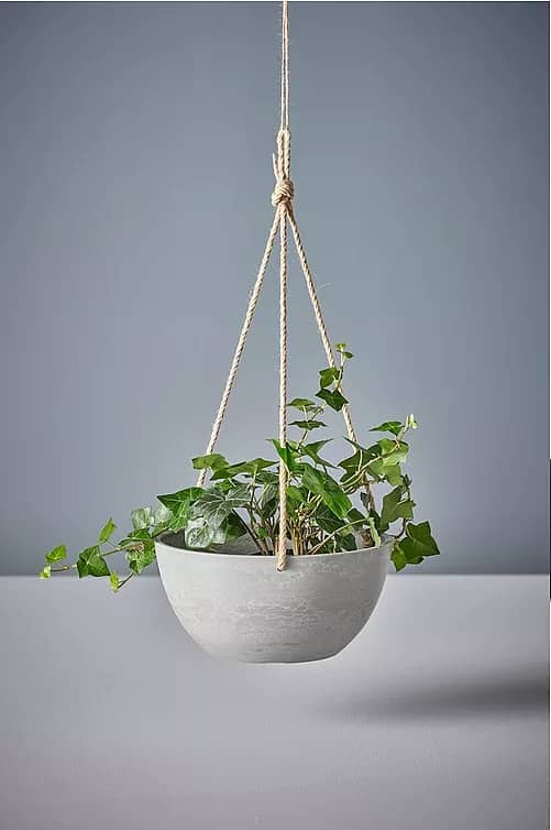 Jotex Mark Ampelpotte